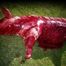 New 2011 Ripped and Blood Pig Carcass